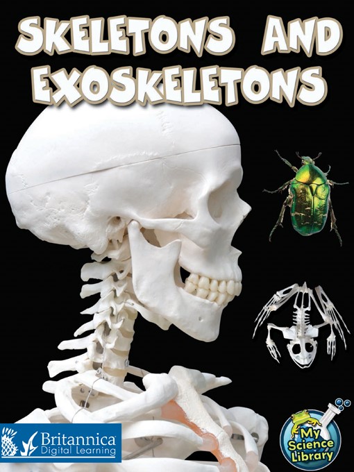 Title details for Skeletons and Exoskeletons by Julie K. Lundgren - Available